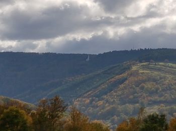Randonnée Marche Schirmeck - Schirmeck - sentier du Colbéry - Photo