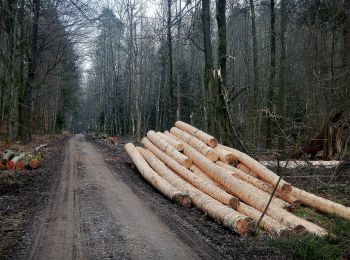 Trail On foot Gärtringen - Gärtringer Rundweg 3 - Photo