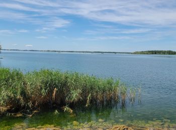 Tocht Stappen Sainte-Marie-du-Lac-Nuisement - Le Der du 25/07/2024 - Photo