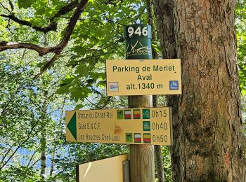 Tour Wandern Les Houches - J14 - R13 - La statue du Christ Roi - Photo