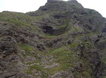 Tour Zu Fuß Boa Ventura - Levada das Faias - Photo