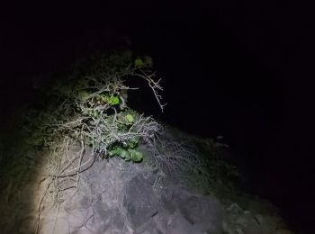 Tocht Trail Deshaies - reconnaissance nocturne fort royal du 26/10/21 - Photo