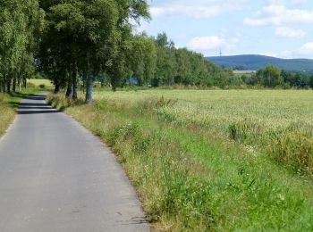 Excursión A pie Gemünden - Extratour Galgenberg - Photo