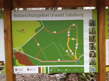 Trail On foot Trendelburg - Eco Pfad Pilgerwege Gottsbüren 5 