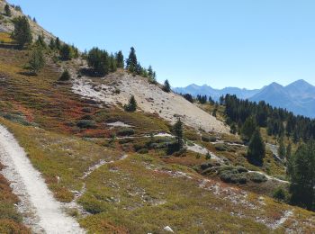 Trail Walking Briançon - crête de Peyrolles  - Photo