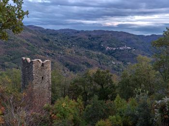 Percorso A piedi San Marcello Piteglio - Cammino di S. Bartolomeo - Photo