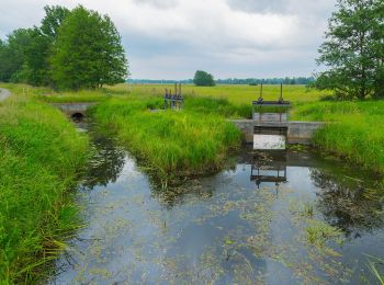 Excursión A pie Alt Zauche-Wußwerk - weg Wußwerk-Caminchen- Waldow-Mochow-Mochowsee - Photo