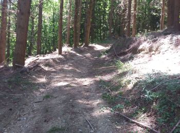 Trail Walking Connac - Boucle Connac Lincou - Photo