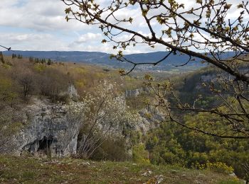 Tour Wandern Plateau d'Hauteville - Nantuy La Berche - Photo