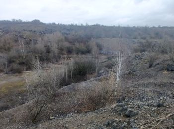 Tour Wandern Cerfontaine - Tamalous  2023.03.09 - Photo