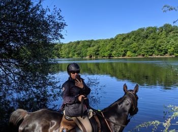 Trail Horseback riding Arfons - arfons4 - Photo