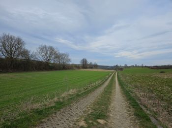 Tocht Stappen Voerendaal - Ubachsberg  - Photo