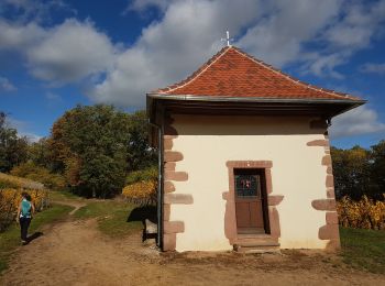 Trail Walking Ammerschwihr - Trois-Epis - monument du Galtz - château du Wineck - clocher vrillé de Niedermorschwihr - Photo
