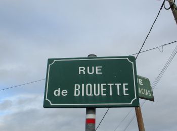 Randonnée Marche Saint-Pierre-du-Vauvray - 20191128-St Pierre du Vauvray - Photo