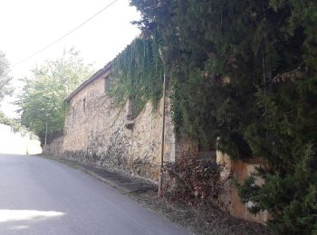 Randonnée A pied Serinyà - Font de Caselles - Photo