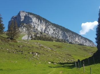 Tour Wandern Entremont-le-Vieux - Sommet Pinet à partir de la Balme - Photo