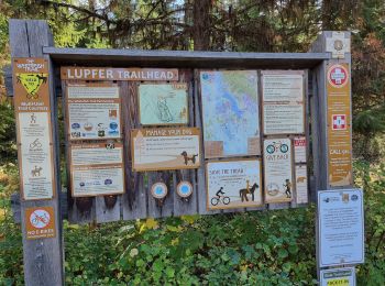 Percorso Sentiero  - Whitefish Lupfer - Photo