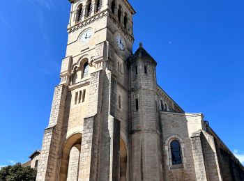 Randonnée Marche Chénas - Chénas - Le Venet - Photo