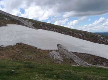 Tour Wandern Gimel - Suisse le 19.08 - Photo