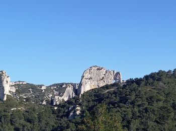 Trail Walking Saint-Rémy-de-Provence - Crêtes  des Alpilles/ Mont Gaussier  - Photo