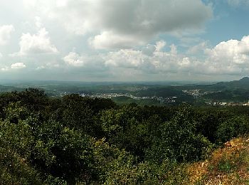 Percorso A piedi Salgótarján - P▲ (P sáv - Pécs-kő) - Photo