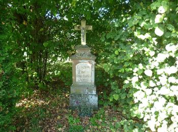 Tour Zu Fuß Blieskastel - Elchschaufel-Rundwanderweg - Photo