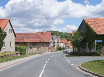 Randonnée A pied Bad Berka - Hebammenweg - Photo