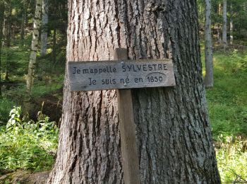 Trail Walking Crots - Fontaine de l'ours et belvederes bragouse - Photo