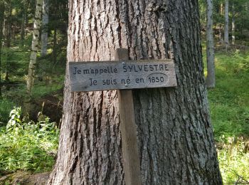 Tocht Stappen Crots - Fontaine de l'ours et belvederes bragouse - Photo