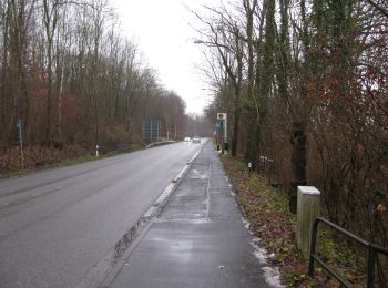 Trail On foot Baunatal - Guntershausen - Bilsteiner Born - Photo
