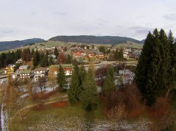 Percorso A piedi Asiago - Via Tilman - Photo