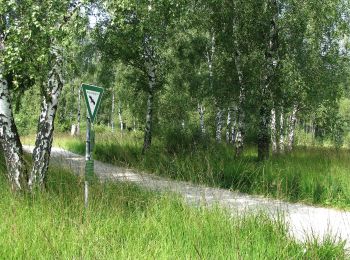Trail On foot Wörthsee - Archäologischer Wanderweg - Photo