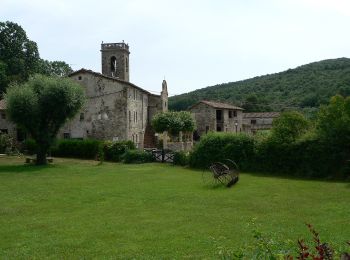 Randonnée A pied Sant Ferriol - El Santuari del Collell: Presó de Guerra - Photo