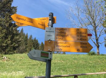Randonnée A pied Schwarzenberg - Sonnhalde - Linden - Meiestoss - Moos - Photo