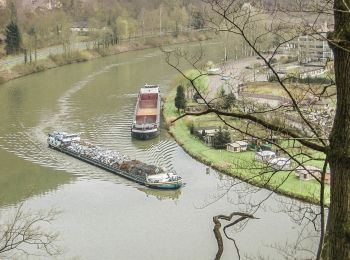 Percorso A piedi Hirschhorn - Rundwanderweg Hirschhorn Igelsbach 2: Langer-Wald-Weg - Photo