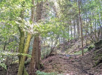 Tocht Stappen Saint-Maurice-de-Lignon - boucle passerelle du lignon-11 km - Photo