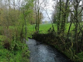 Trail On foot Jodoigne - #230424 - Dongelberg, Souveraine et Tienne Strichaux - Photo