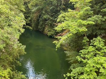 Tocht Stappen Orbe - Gorge de l’Orbe - Photo