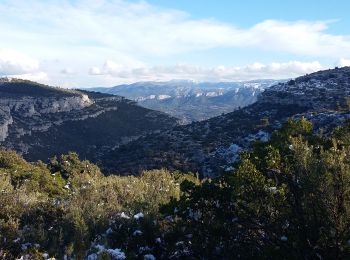 Excursión A pie Roquevaire - Mont du Marseillais et le Puits de l'Aroumi  - Photo