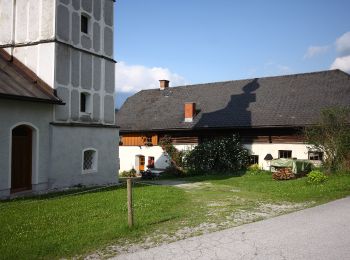 Tocht Te voet Michaelerberg-Pruggern - Laufrunde Enns 1 - Photo