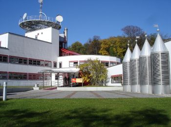 Percorso A piedi  - Eisenstadt (ORF) - Jägerwiese - Loretto - Photo