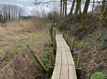 Trail Walking Brakel - Parcours éphémère de Everbeek 12km - Photo