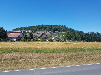 Percorso A piedi Werbach - Rundwanderweg Gamburg 2 - Photo