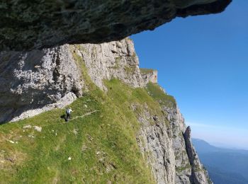 Tour Zu Fuß Predeal - Predeal - Cabana Gârbova - Azuga - Photo