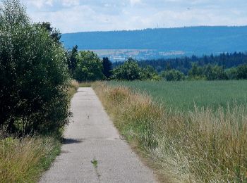 Randonnée A pied Karlsbad - Spielberg: Waldkulturpfad - Gscheidweg - Photo