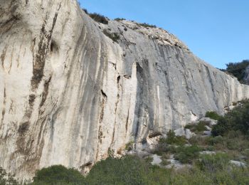 Randonnée Marche Maussane-les-Alpilles - le cirque du grimpeur solitaire  - Photo