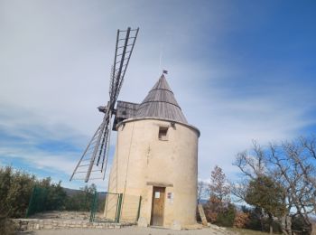 Trail Walking Saint-Michel-l'Observatoire - SAINT MICHEL L OBSERVATOIRE . BALADE DE LA PIERRE . O S M  - Photo