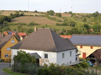 Randonnée A pied Bad Mergentheim - Schönbühler Weg - Photo