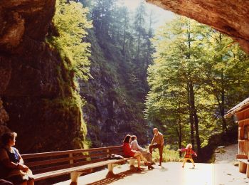 Excursión A pie Bad Aussee - Koppental Wanderweg - Photo