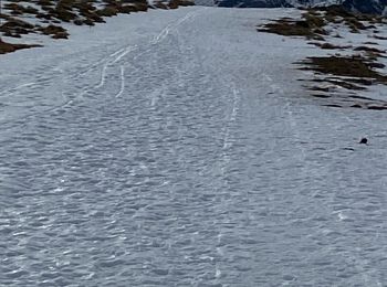 Tocht Sneeuwschoenen Albiès - Plateau de beille  - Photo